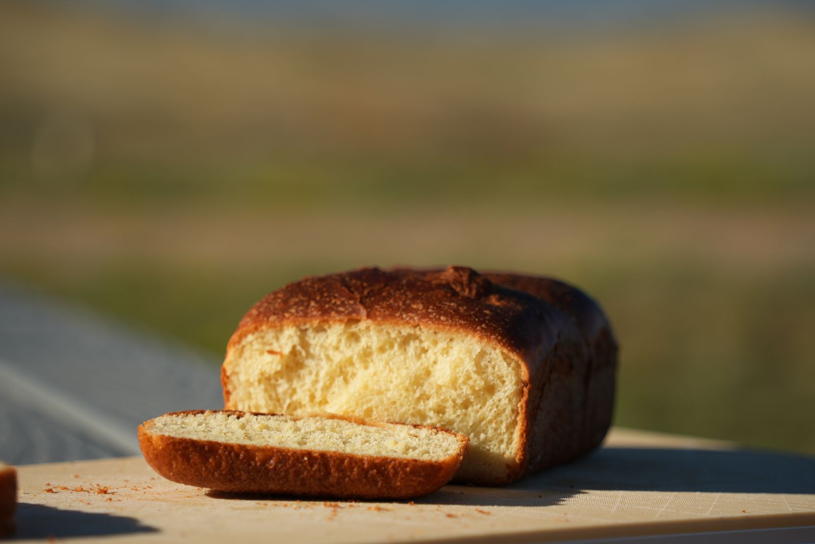 Grass-Fed Milk Bread at Grasslands National Park, SK
