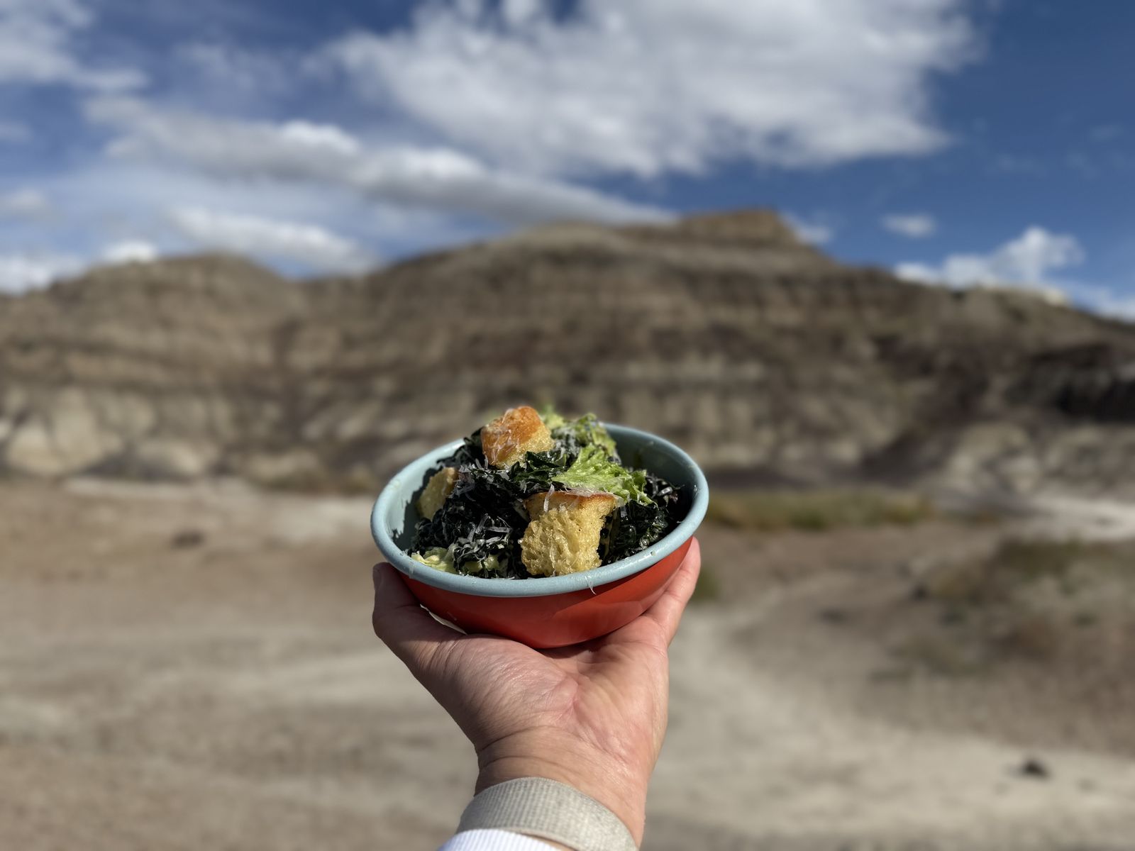 Dinosaur Kale Salad in Drumheller, AB